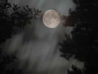 spooky-moon-1566397-639x424